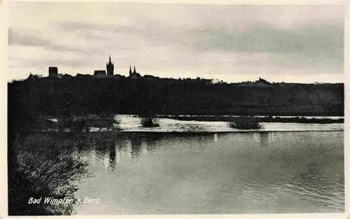 AK / Ansichtskarte  Bad_Wimpfen_Neckar Panorama