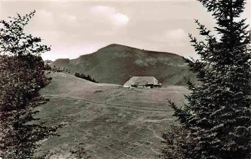 AK / Ansichtskarte  BADENWEILER_BW Kaelbelescheuer mit Belchenblick