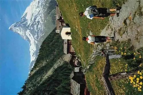 AK / Ansichtskarte  Zermatt_VS Findeln mit Matterhorn Walliser Alpen