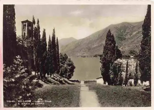 AK / Ansichtskarte  Bellagio_Lago_di_Como_IT Panorama Santa Maria di Loppia