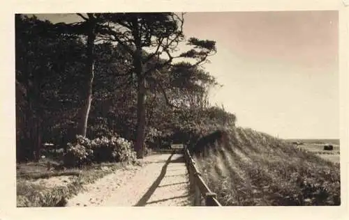 AK / Ansichtskarte  Graal-Mueritz_Ostseebad Waldweg