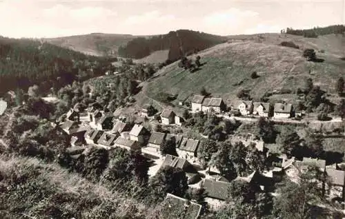 AK / Ansichtskarte  Wildemann_Harz Klein Tirol Panorama