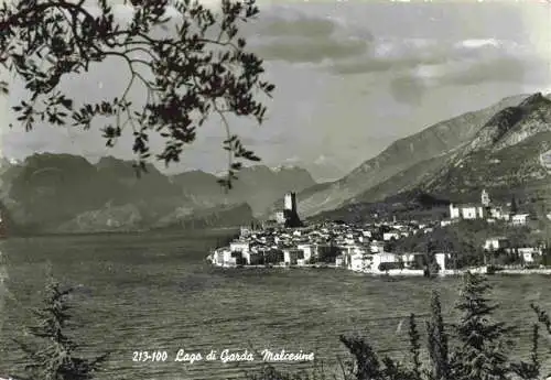 AK / Ansichtskarte  Malcesine_Lago_di_Garda Panorama