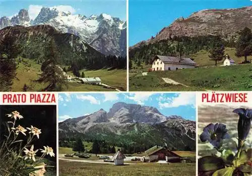 AK / Ansichtskarte  Prato_Piazza_Plaetzwiese_Dolomiti_IT Teilansichten Panorama Alpenflora