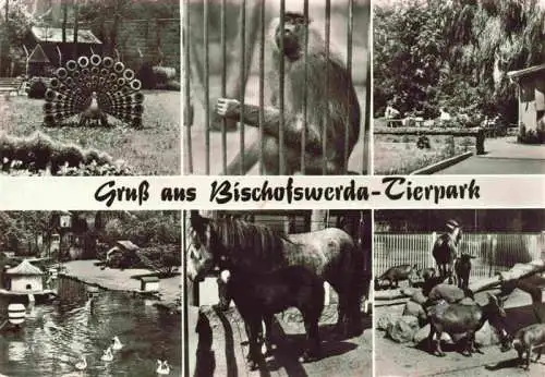 AK / Ansichtskarte  Bischofswerda_Sachsen Tierpark Strauss Affen Ententeich Pferde Ziegen