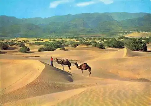 AK / Ansichtskarte  Maspalomas_Gran_Canaria_ES Desert