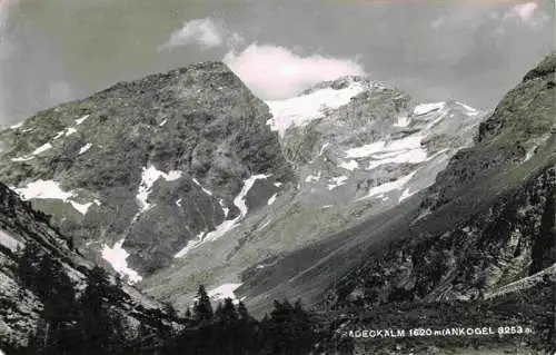 AK / Ansichtskarte  Ankogel_3263m_Ankogelspitze_Hohe_Tauern_Kaernten_AT Adeckalm Panorama