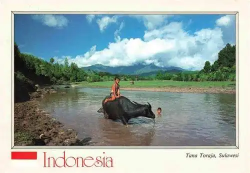 AK / Ansichtskarte  Tana_Toraja Panorama Sulawesi