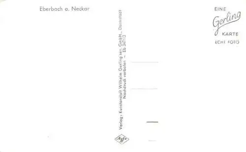 AK / Ansichtskarte  Eberbach_Baden_Neckar Panorama