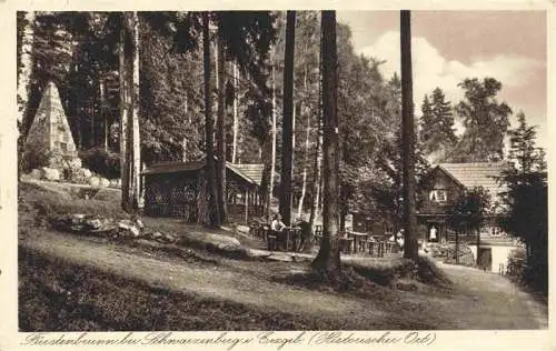 AK / Ansichtskarte  Fuerstenbrunn_Schwarzenberg Prinzenraub mit Denkmal