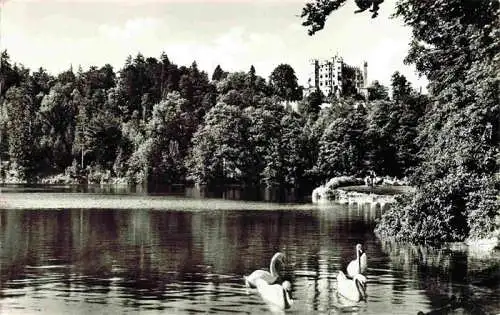 AK / Ansichtskarte  Fuessen_am_Lech_Allgaeu_Bayern Schwaene auf dem Alpsee mit Schloss Hohenschwangau