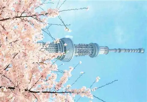 AK / Ansichtskarte  Tokyo_TOKIO_Japan Tsurgugi Masahiro Aflo Cherry blossoms