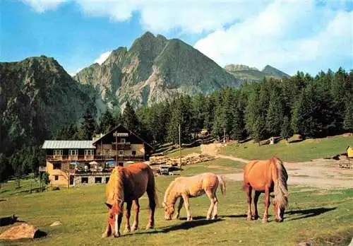 AK / Ansichtskarte  Hafling_Avelengo-Falzeben_IT Gasthof Alpenrose Albergo Rosa Alpina Haflinger Pferde