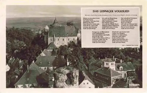 AK / Ansichtskarte  Leisnig Ortsansicht mit Schloss