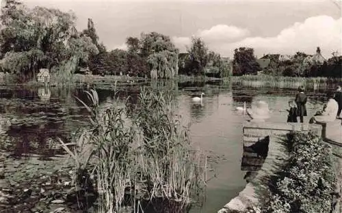 AK / Ansichtskarte  Buende__Westfalen Schwanenteich Buergerpark