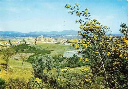 AK / Ansichtskarte  Roquebrune-sur-Argens_83_Var Vue générale