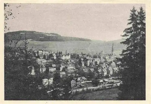 AK / Ansichtskarte  Neustadt__Schwarzwald_Titisee-Neustadt Panorama