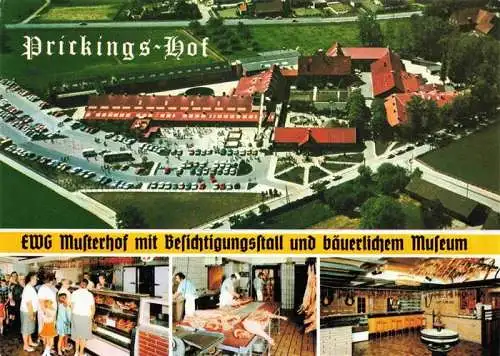 AK / Ansichtskarte  Sythen_Haltern Prickings Hof EWG Musterhof mit Besichtigungsstall und baeuerlichem Museum Teilansichten Fliegeraufnahme