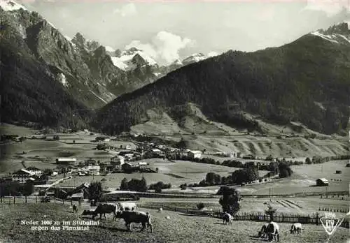 AK / Ansichtskarte  Neder_Neustift_Stubaital_Tirol_AT mit Pinnistal