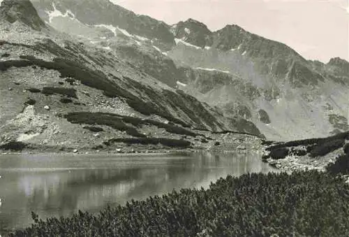 AK / Ansichtskarte  Zakopane_Tatra_PL Dolina Pieciu Slawow Polskirch Przedni Stary