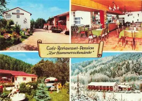 AK / Ansichtskarte  Sophienthal_Oberfranken Cafe Restaurant Pension Zur Hammerschmiede Gastraum Garten