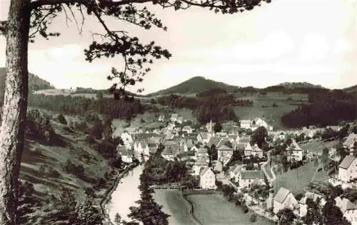 AK / Ansichtskarte  Velden_Mittelfranken_Bayern Panorama