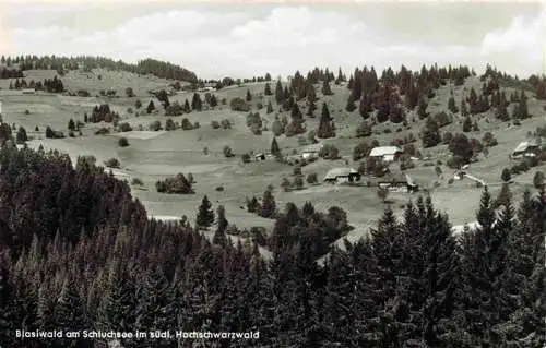 AK / Ansichtskarte  Blasiwald am Schluchsee Panorama