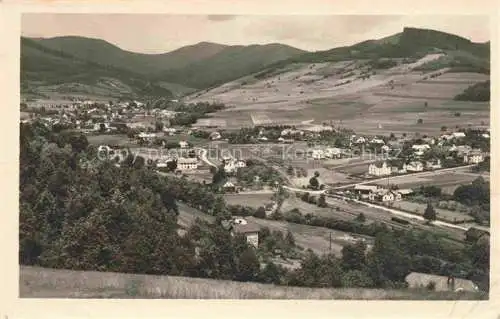 AK / Ansichtskarte  Loucna_nad_Desnou_Wiesenberg_Sudetenland_CZ Panorama