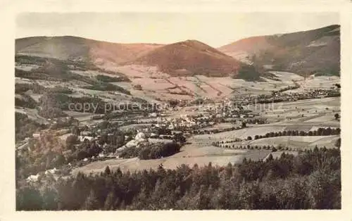 AK / Ansichtskarte  Loucna_nad_Desnou_Wiesenberg_Sudetenland_CZ Panorama