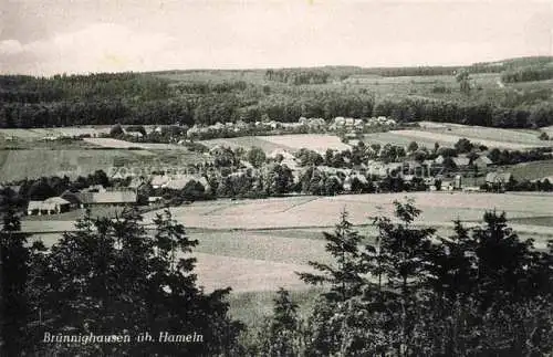 AK / Ansichtskarte  Bruennighausen_Hameln Panorama