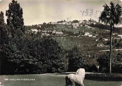 AK / Ansichtskarte  Collina_Fiesolana_Fiesole_Toscana_IT Panorama