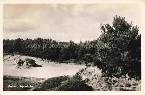 AK / Ansichtskarte  Appelscha_Friesland_NL Duinen