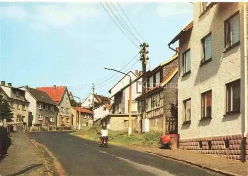 AK / Ansichtskarte  Brotterode Inselsbergstrasse