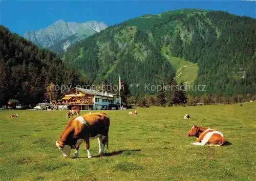 AK / Ansichtskarte  Pertisau_Achensee_Tirol_AT Alpengasthof Pletzachalm Blick gegen Montscheinspitze Karwendelgebirge Viehweide