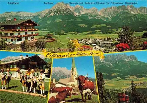 AK / Ansichtskarte  Ellmau_Elmau_Tirol_AT Panorama Kaisergebirge Trachten Viehweide Kuehe Kirche