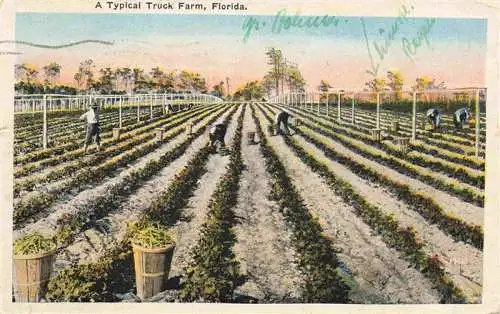 AK / Ansichtskarte  Landwirtschaft A Typical Truck Farm Florida 