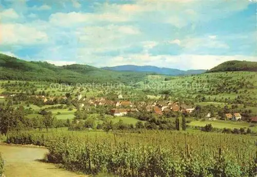 AK / Ansichtskarte  Schliengen Panorama