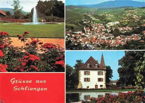 AK / Ansichtskarte  Schliengen Park Fliegeraufnahme Schloss