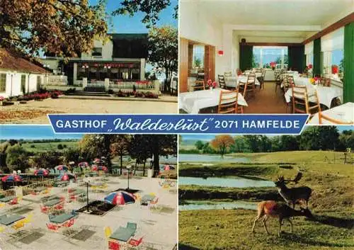 AK / Ansichtskarte  Hamfelde_Holstein Gasthof Waldeslust Gaststube Freiterrasse Hirsche