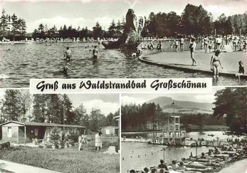 AK / Ansichtskarte  Grossschoenau_Goerlitz_Sachsen Wasserrutsche Walross Zeltplatz Lauschepartie