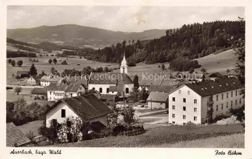 AK / Ansichtskarte  Auerbach_Deggendorf Panorama Kirche