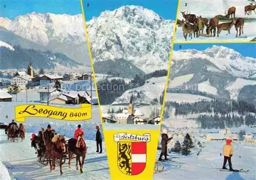 AK / Ansichtskarte  Leogang_Saalbach-Hinterglemm_AT mit Steinernes Meer Birnhorn Hirschfuetterung Schlittenfahrt Schantal Lift mit Steinberge