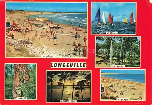 AK / Ansichtskarte  Longeville-sur-Mer La plage Ecureuil Contre jour Voiliers La foret 