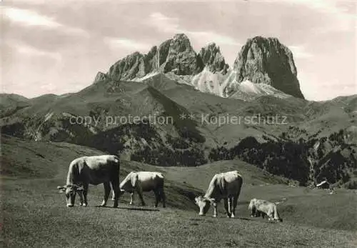 AK / Ansichtskarte  Dolomiti__Dolomiten_IT Gruppo del Sassolungo