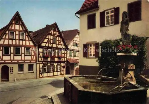 AK / Ansichtskarte  Marbach__Neckar Schillers Geburtshaus mit Wilder Mann Brunnen