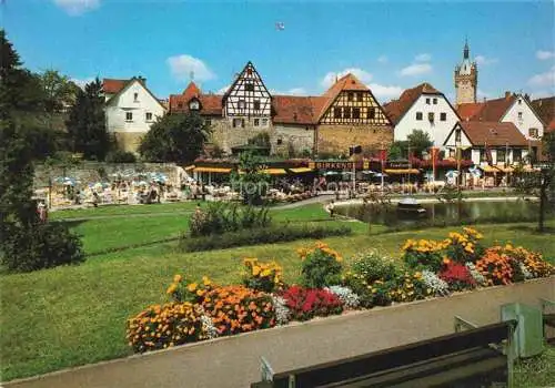 AK / Ansichtskarte  Bad_Wimpfen_Neckar Cafe Restaurant Birkensee 