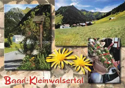 AK / Ansichtskarte  Baad-Mittelberg_Kleinwalsertal_AT Wegekreuz Landschaftspanorama Alpen Blumen