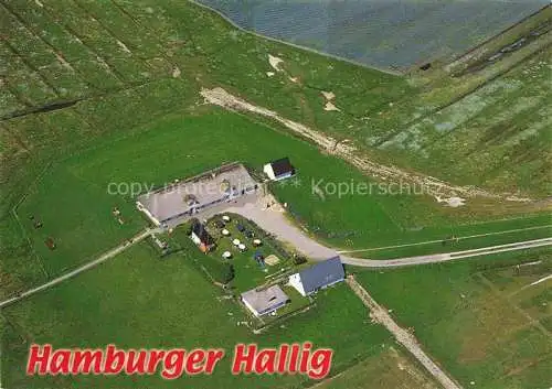 AK / Ansichtskarte  Hamburger_Hallig Fliegeraufnahme