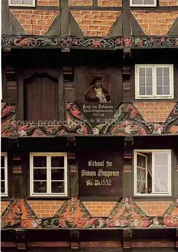 AK / Ansichtskarte  Celle__Niedersachsen Detail der Fassade des Hoppenerhauses