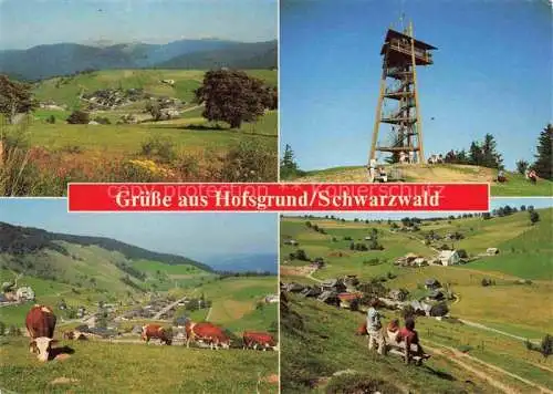 AK / Ansichtskarte  Hofsgrund_Oberried_Schauinsland Paorama Aussichtsturm